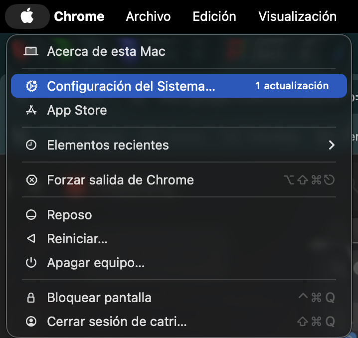 Menú Apple, Configuración del Sistema